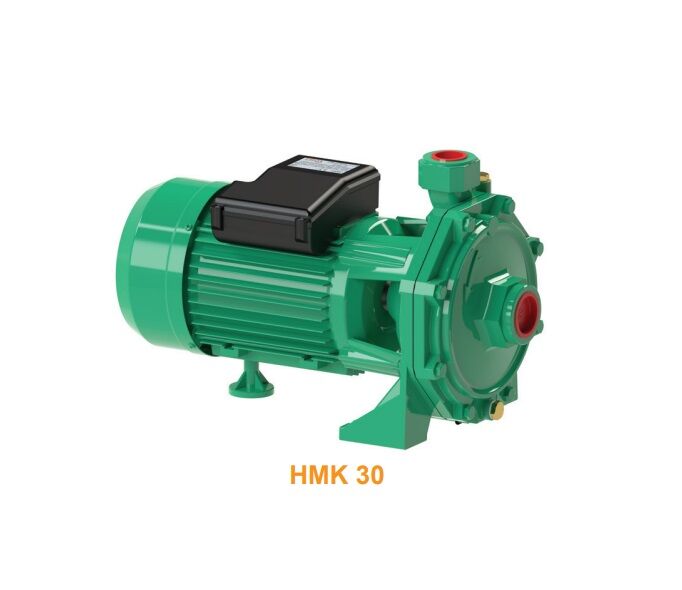 Troy Pompa HMK 30 Çift Kademeli Santrifüj Pompa 2.2 HP 220V